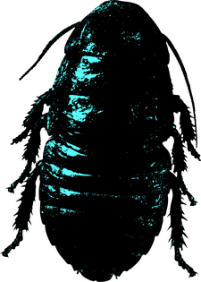 BLACK DEATH THE HANGED MAN